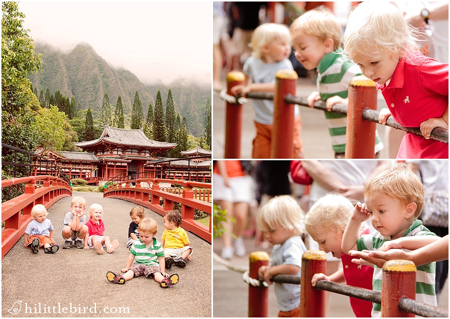 byodo-in oahu photographer families