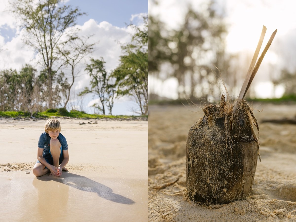 coconut on the beach in hawaii