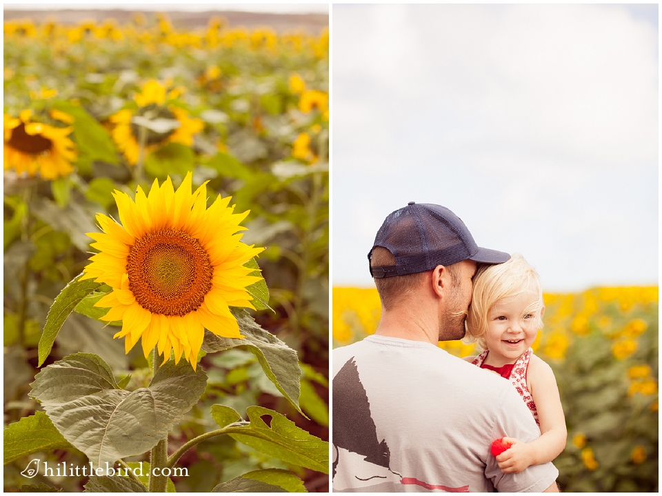 north shore family photography