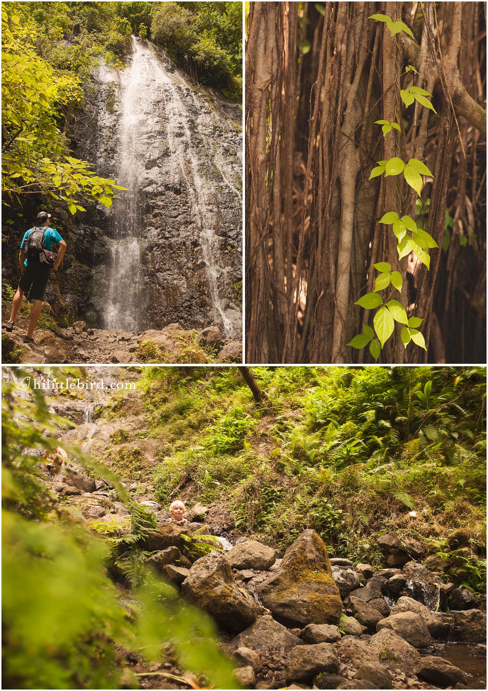 best waterfalls in oahu