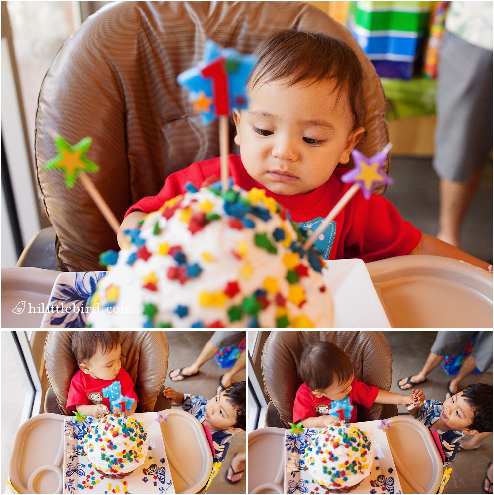 first birthday cake smash oahu