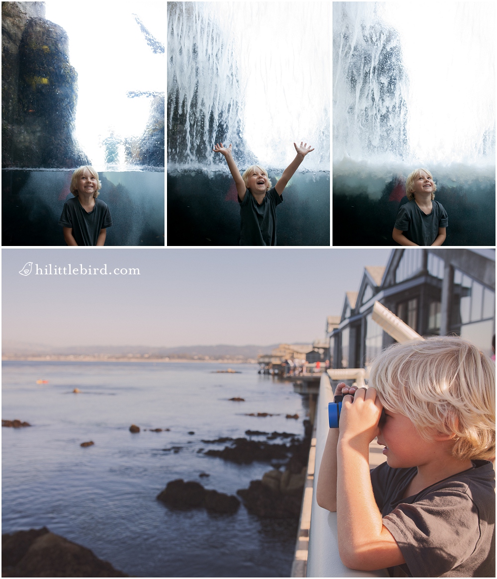 monterey bay aquarium