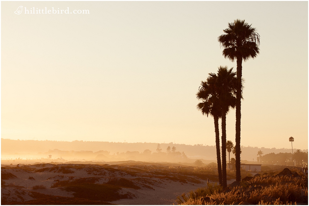 kids at Coronado beach