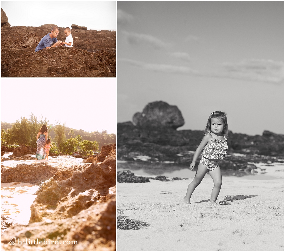 family photographs on the north shore of oahu