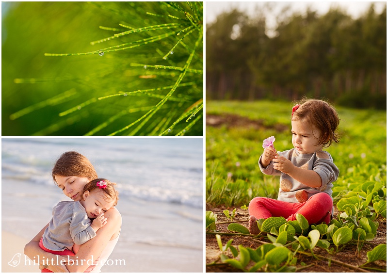 toddler and flowers at bellows beach