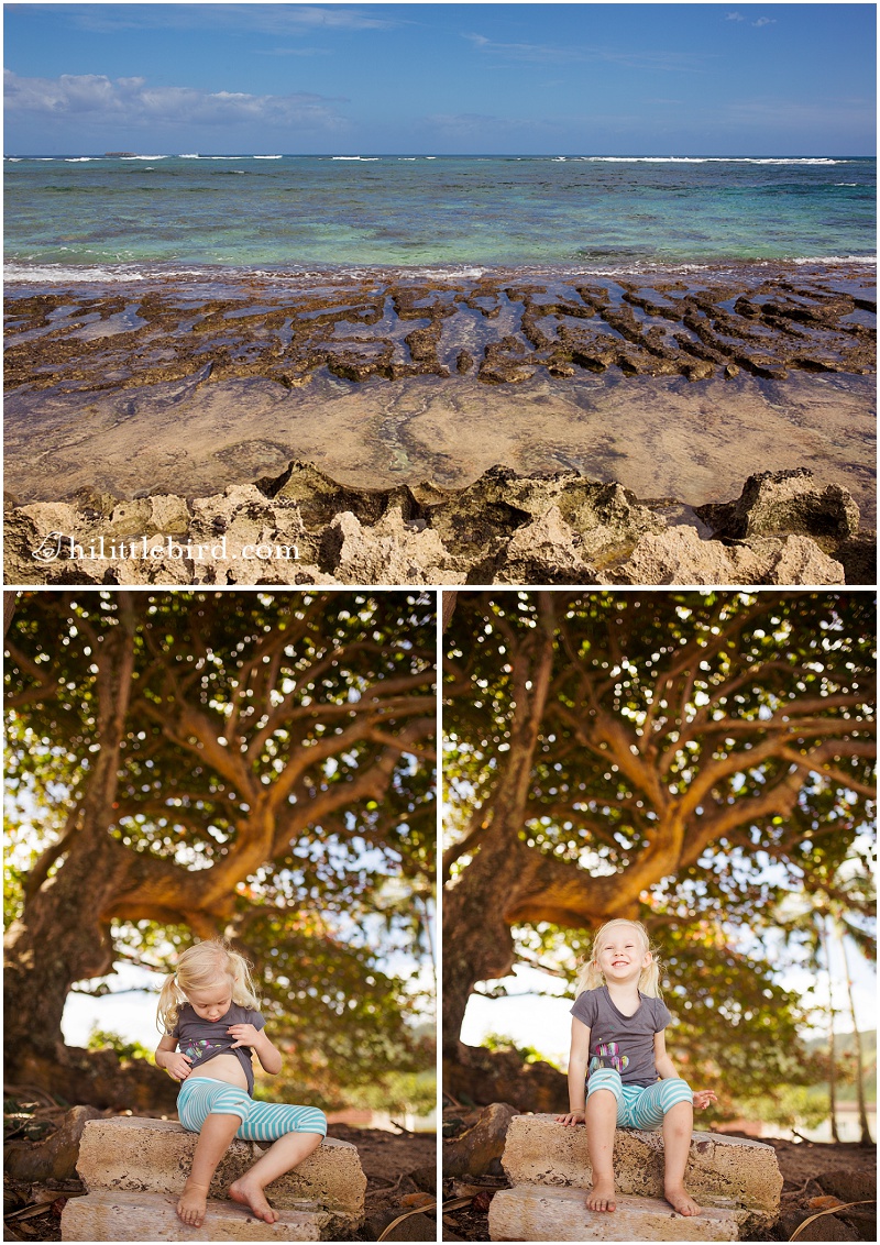 great family beaches on oahu