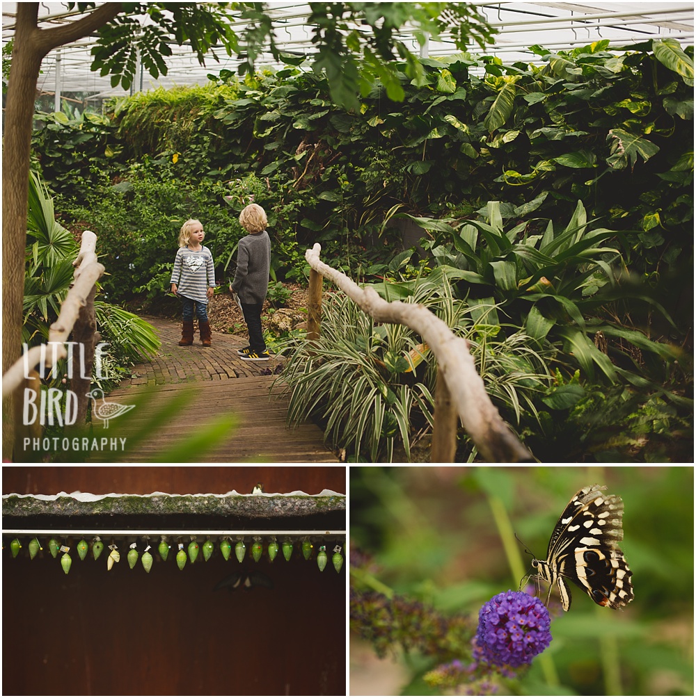 oahu-family-photographer_0002