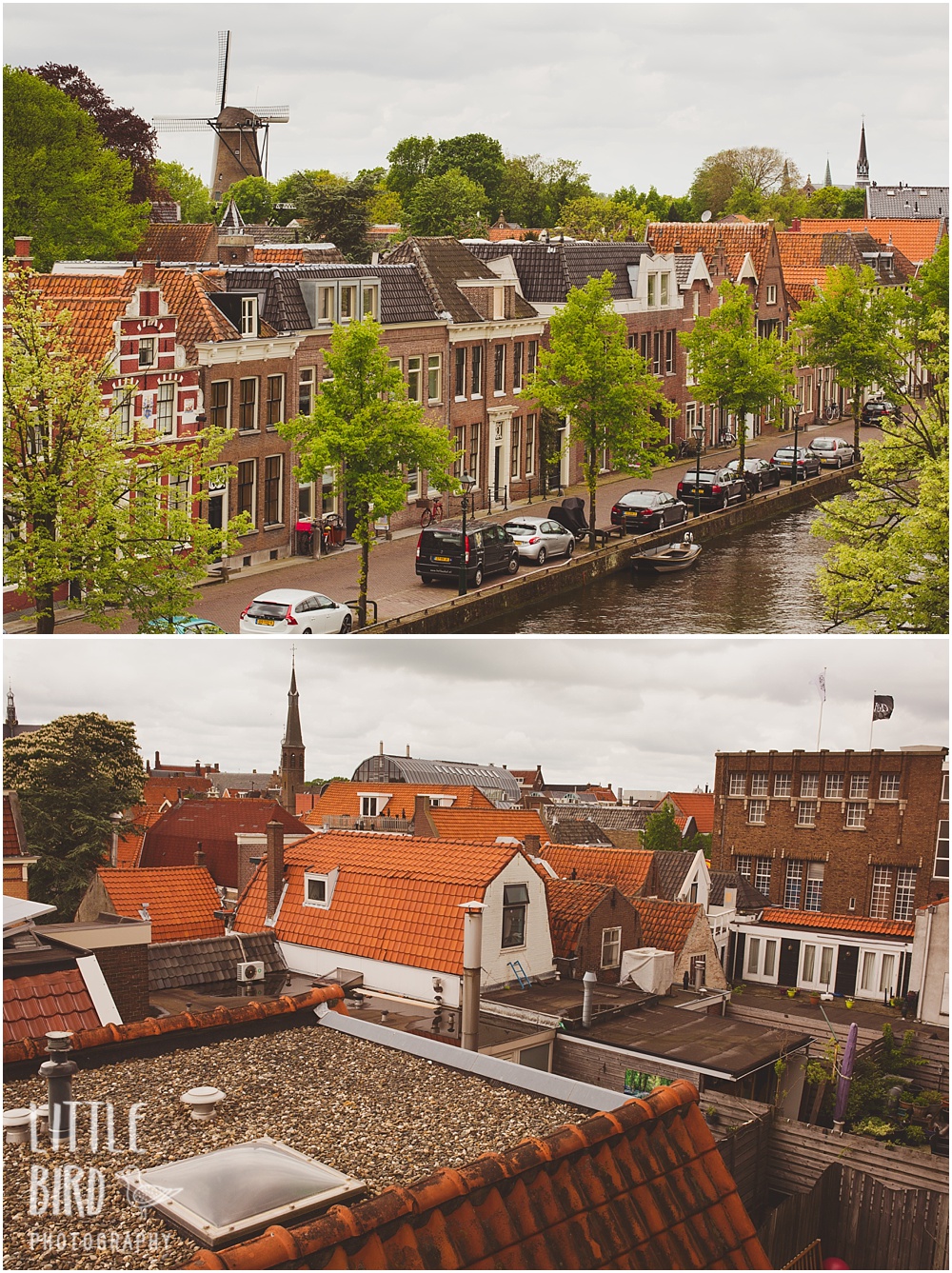 rooftops in alkmaar