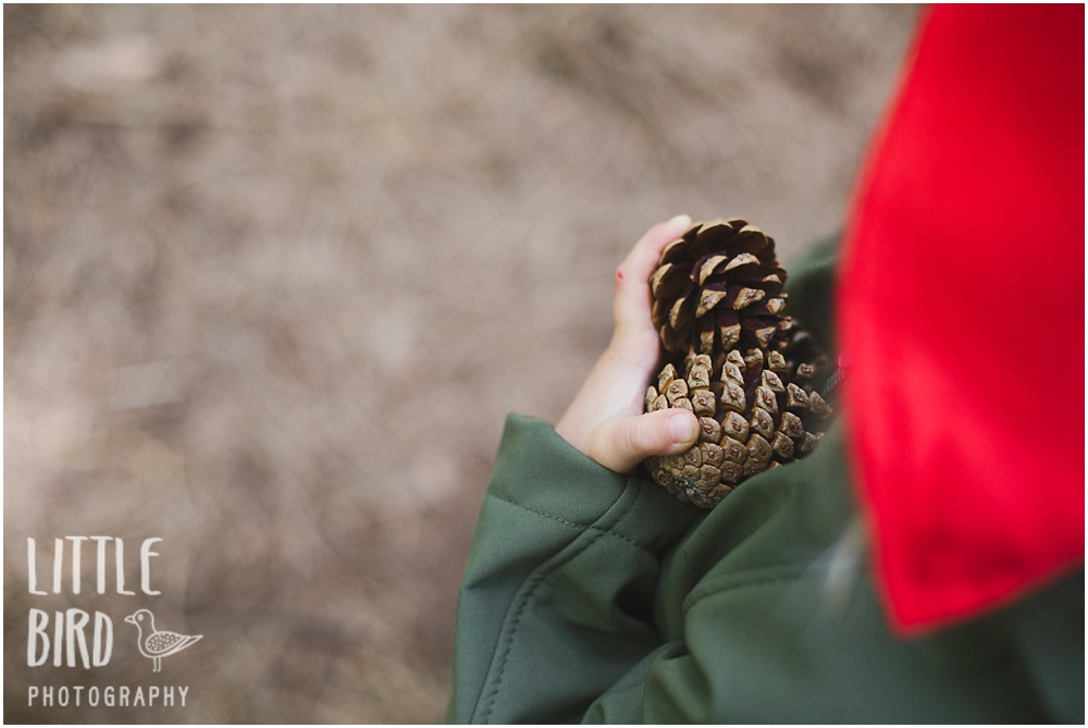girl with pinecones