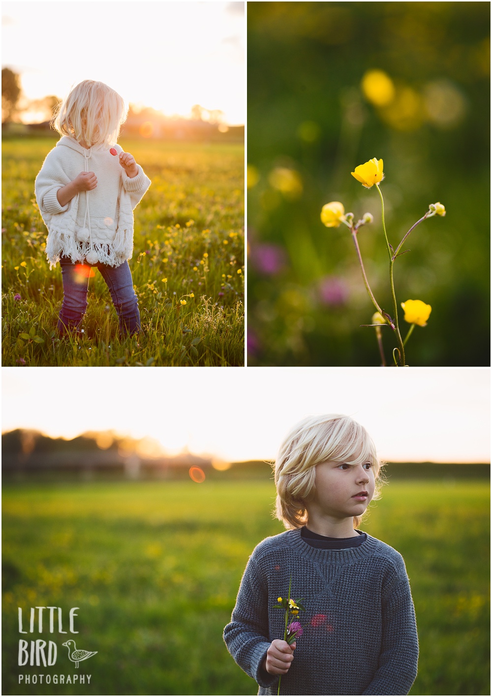 kids in a flower field at sunset