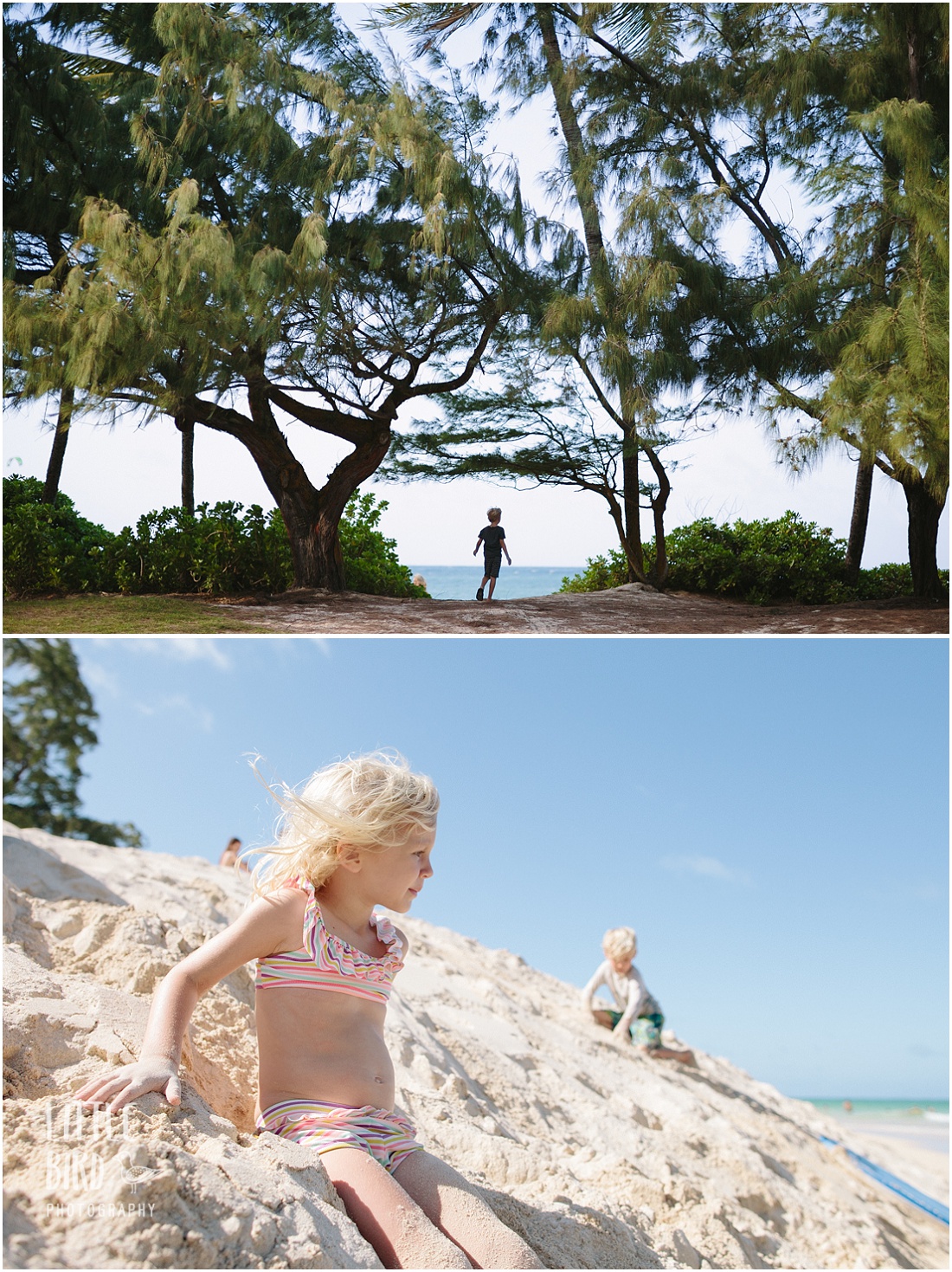 kailua-beach-sand-hill