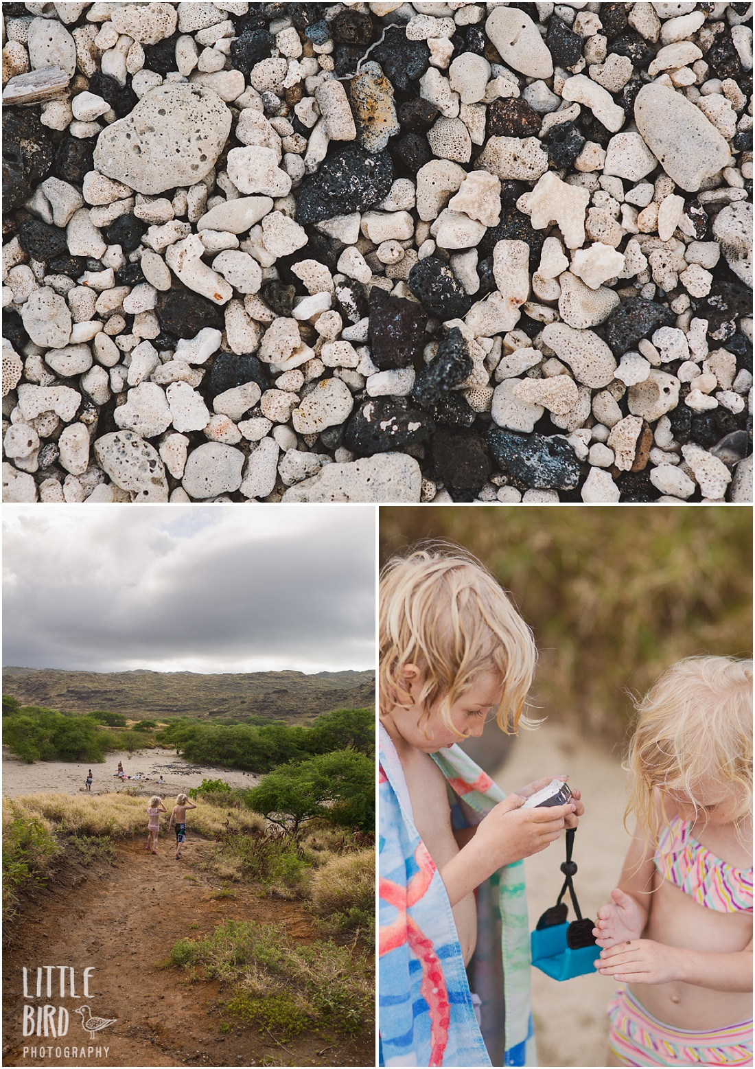 easy hikes for kids on oahu