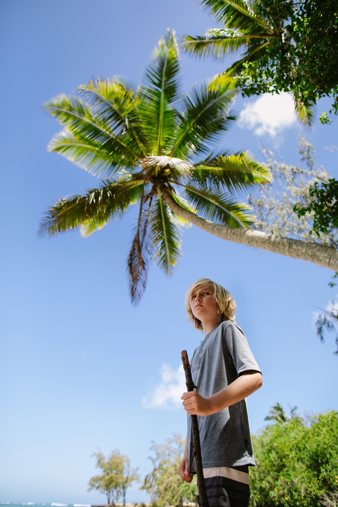 boy holding a stick with blue sky and palm trees behind on north shore oahu