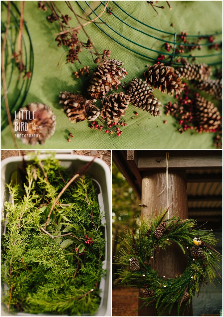 Oahu Christmas Tree Hike Christmas Adventure in Hawaii