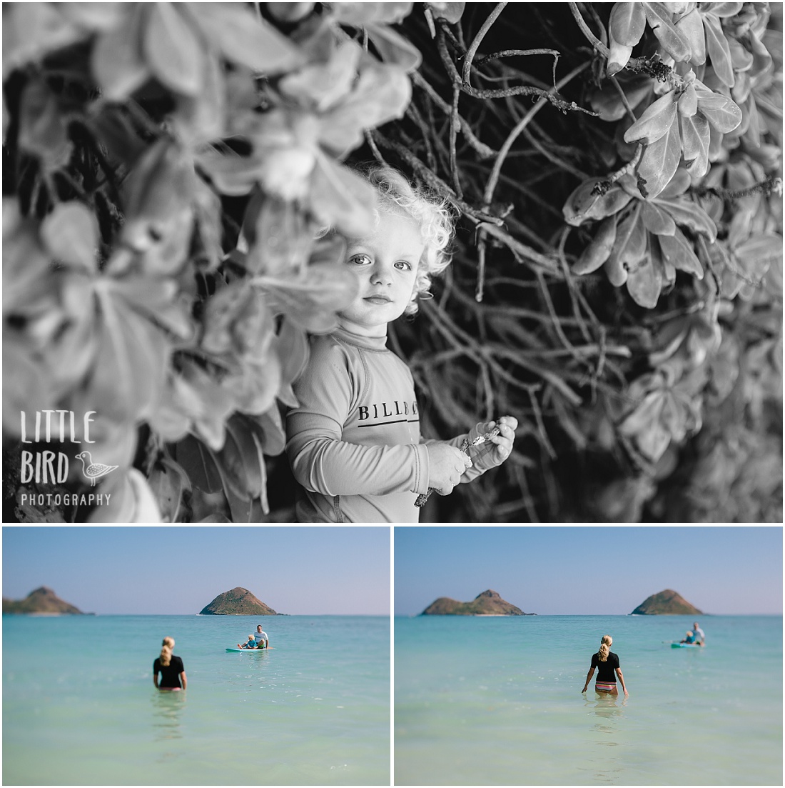 kailua-beach-family-lifestyle-photography_582
