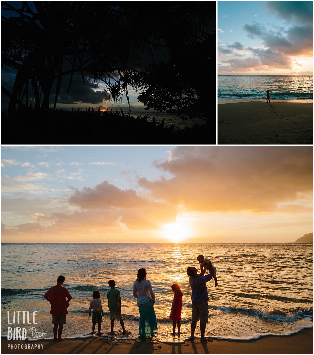 Laie family photography