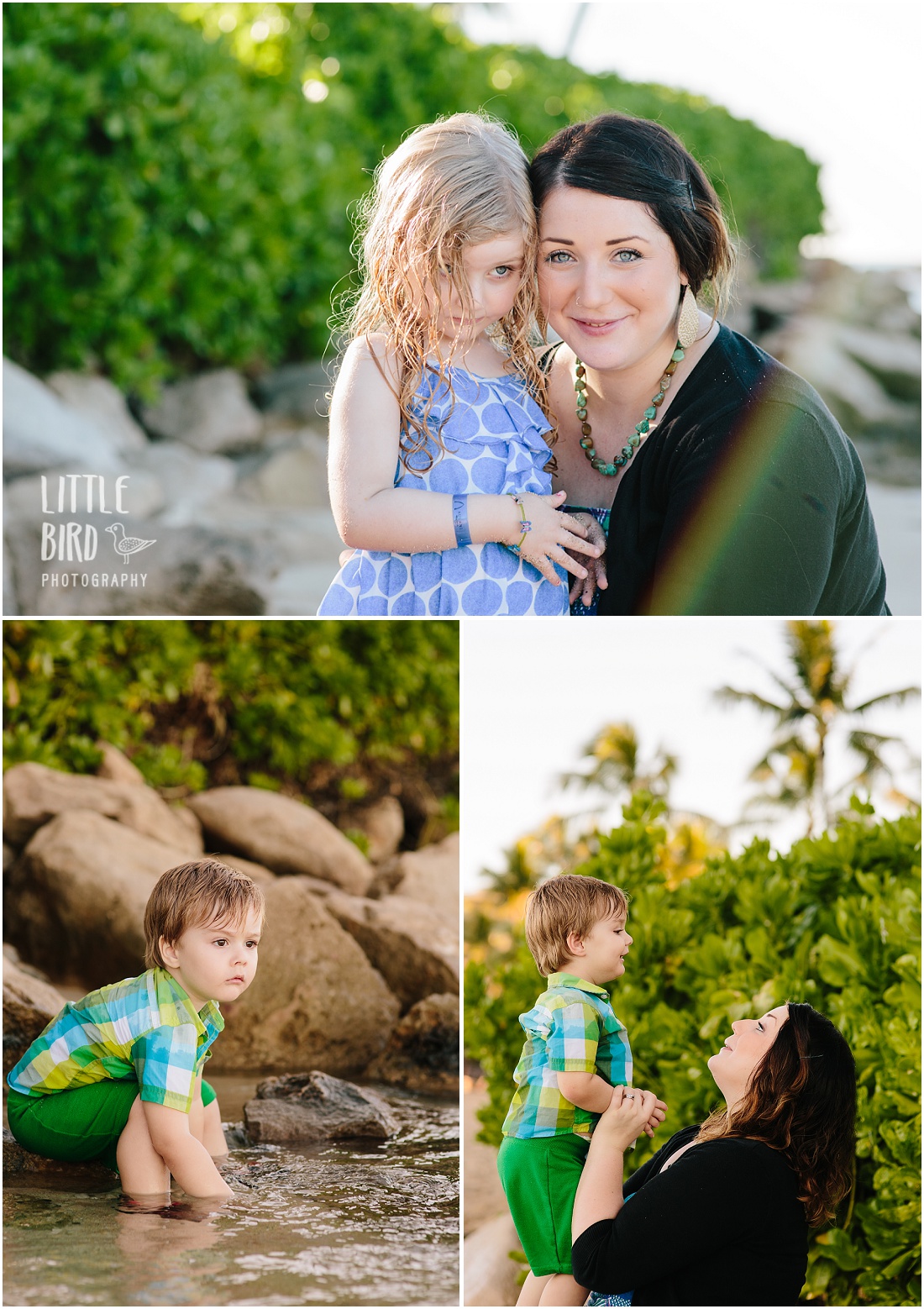 family-pictures-on-the-beach-hawaii