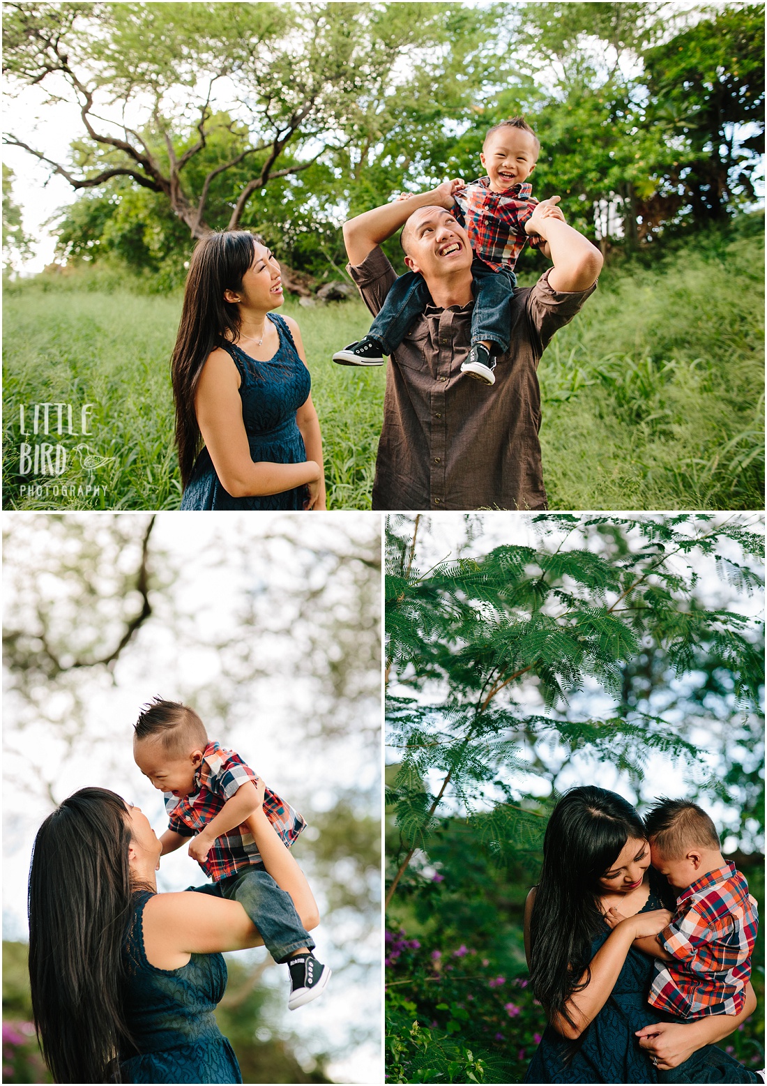 hawaii family photographers