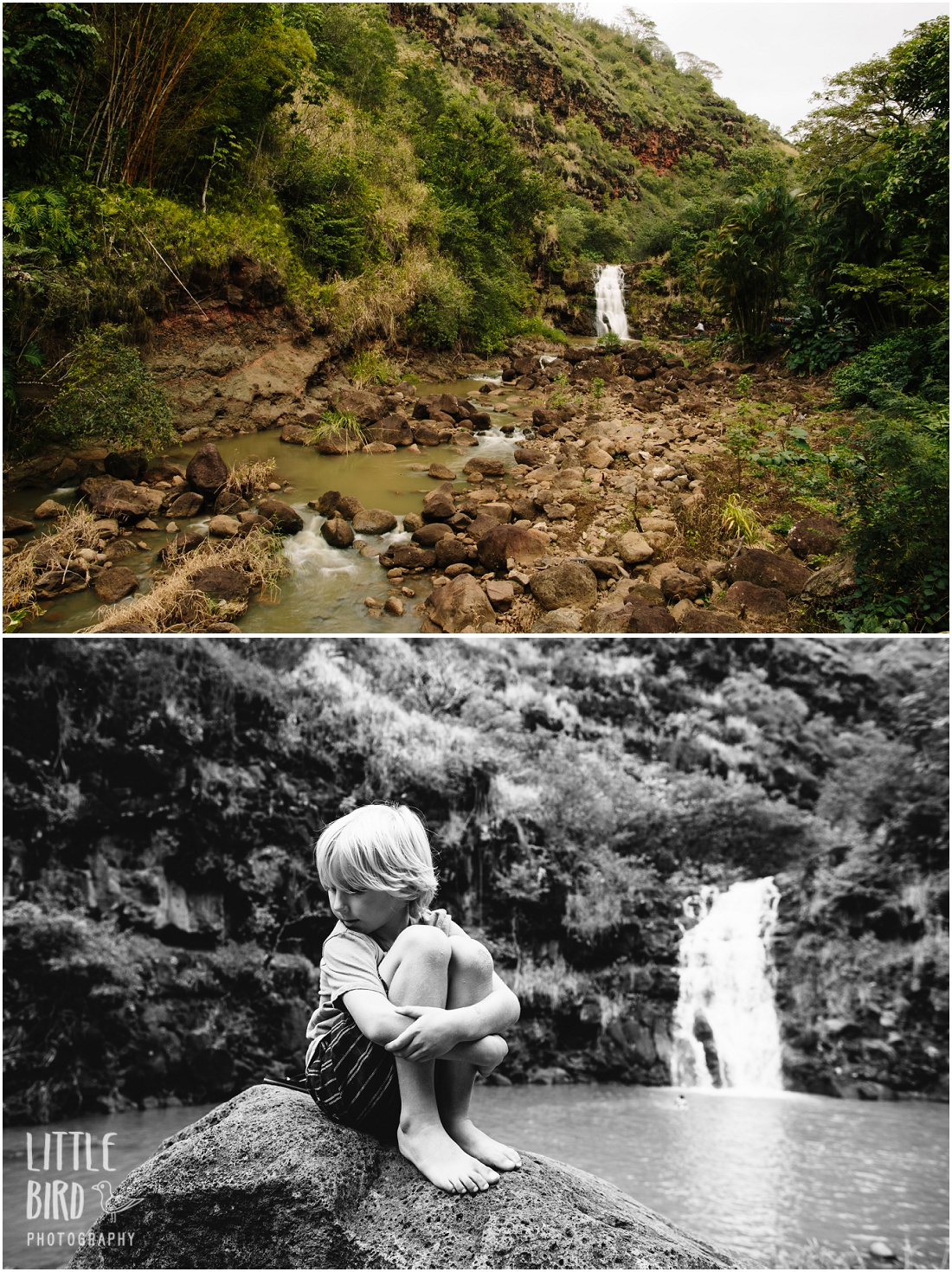 04-waimea-valley-waterfall-hike