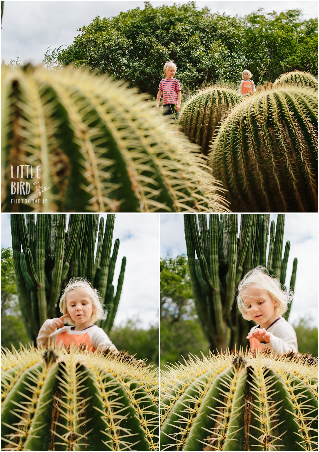 kids exploring a barrel cactus garden