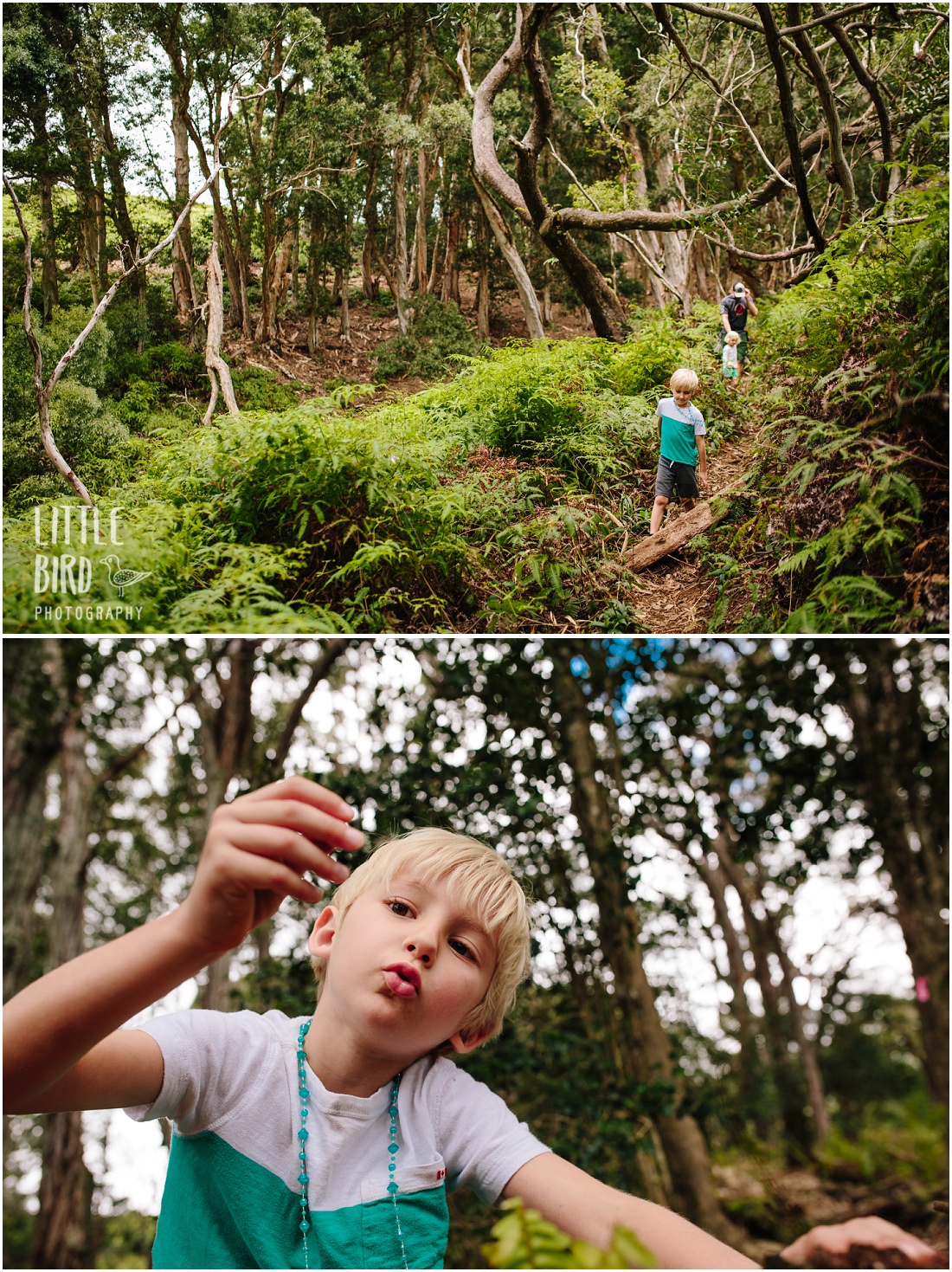boy exploring the forest during a family hike in hawaii
