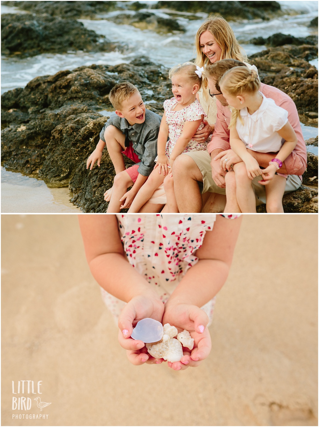 collecting-shells-at-the-beach-in-hawaii