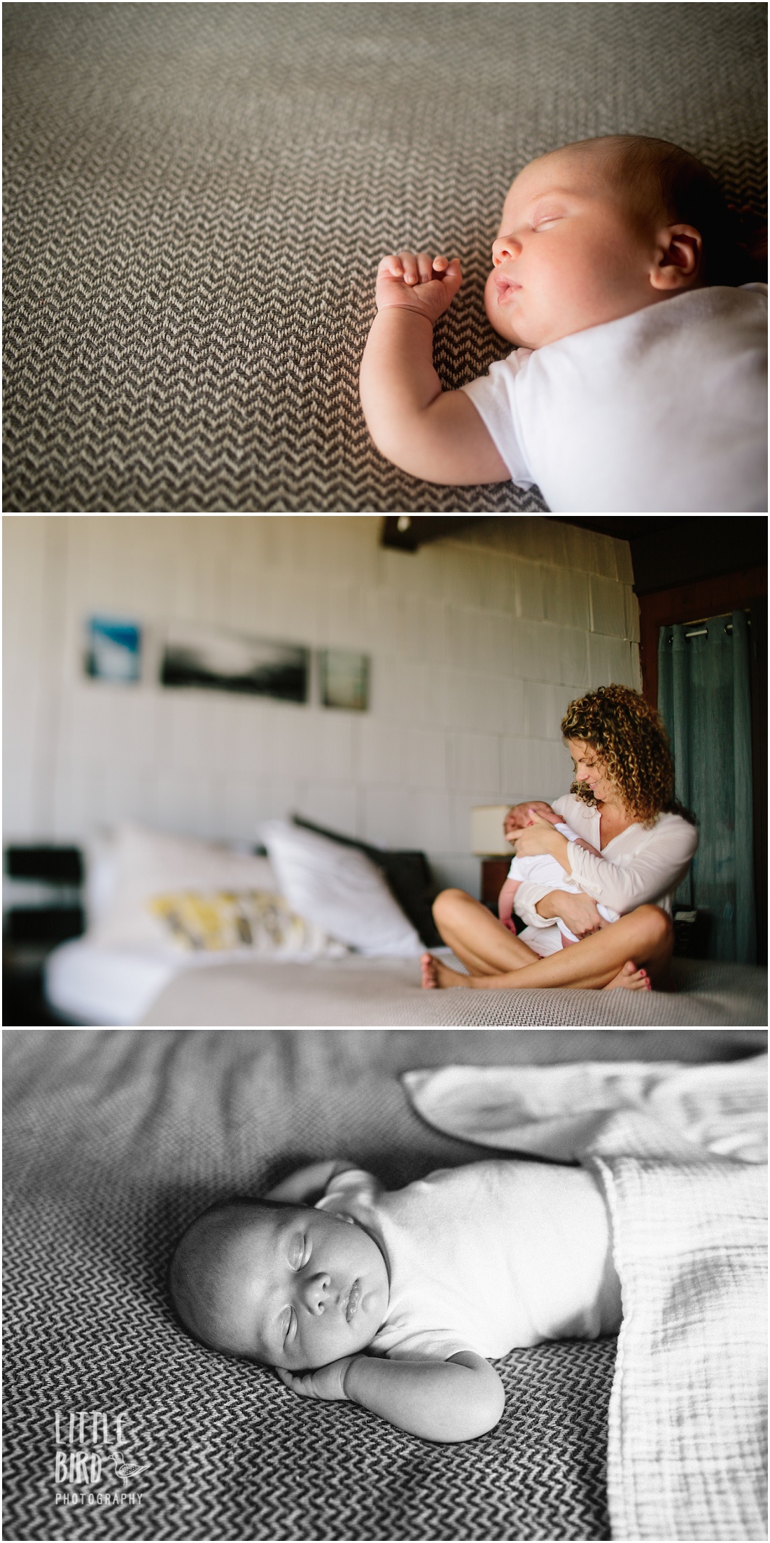 natural baby photography in oahu