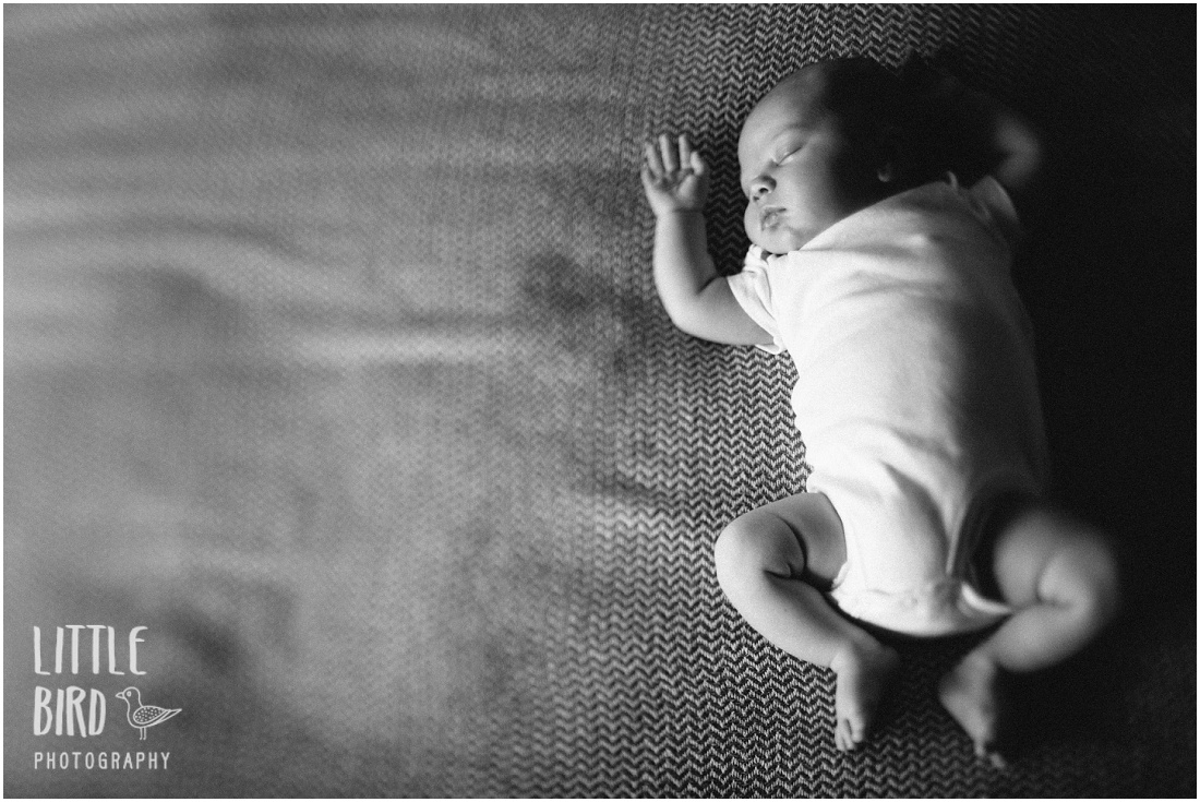 newborn portraits kailua