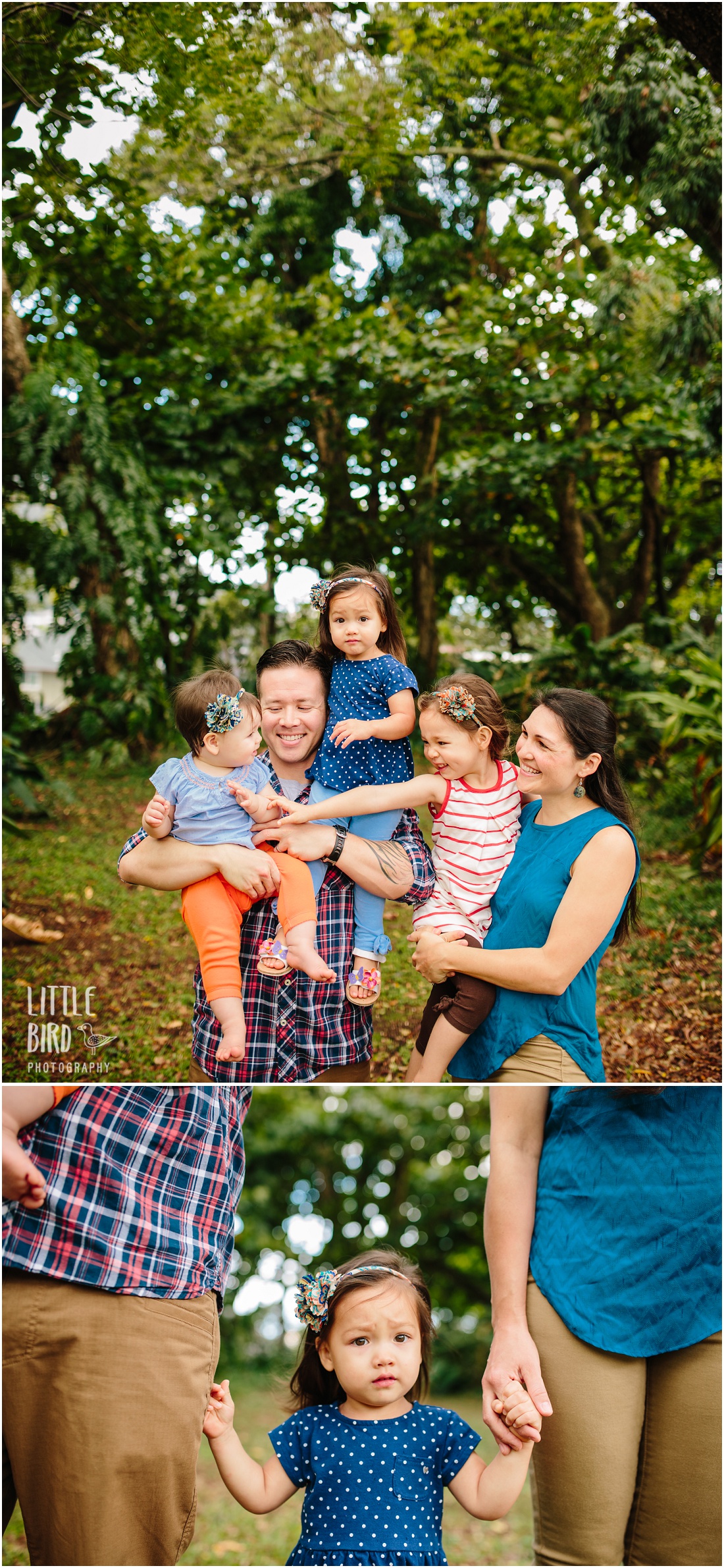 Honolulu family portrait photographer at Nuuanu valley park