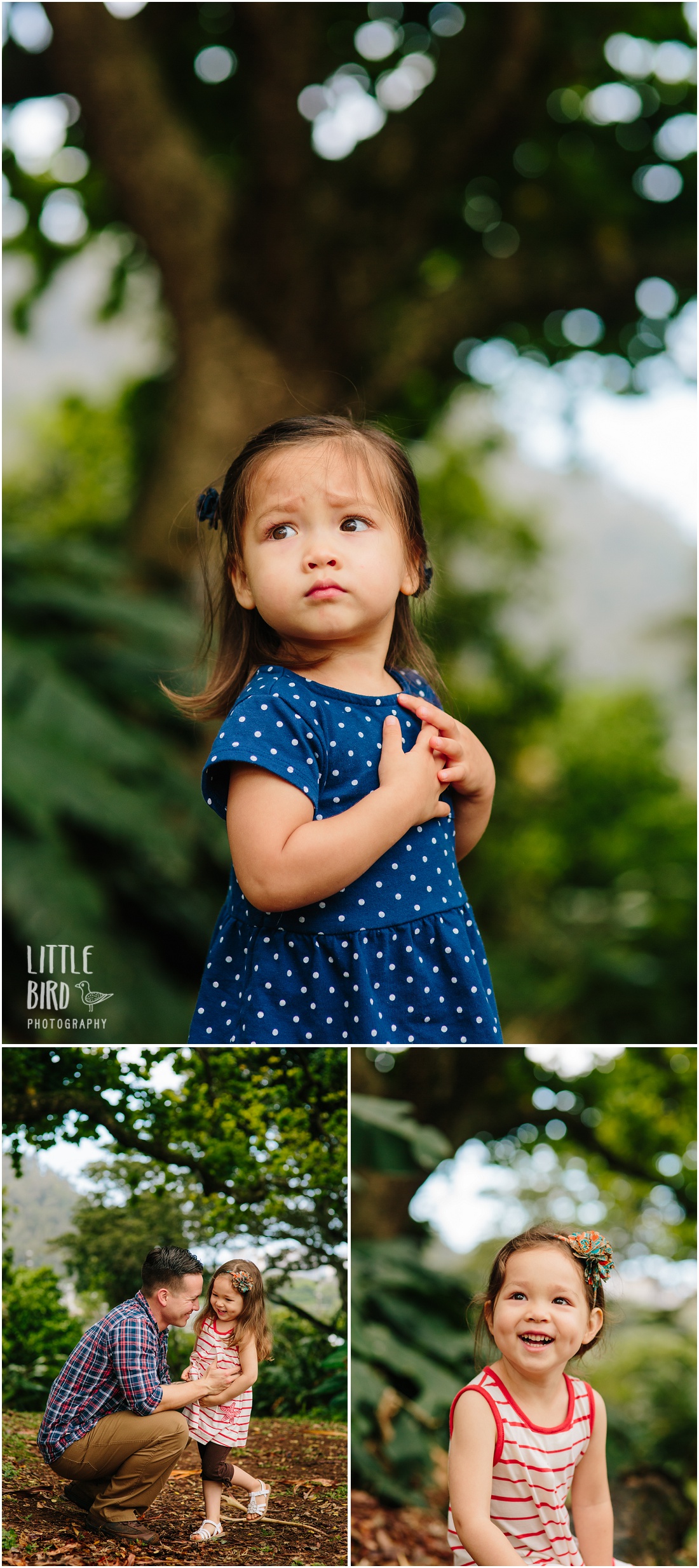 dad and daughter playing in a tropical park in hawaii