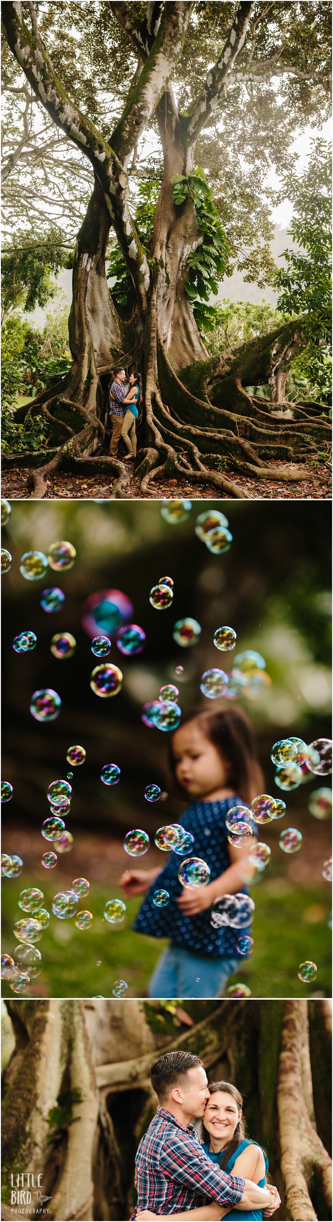 couples portraits in the rainforest in hawaii