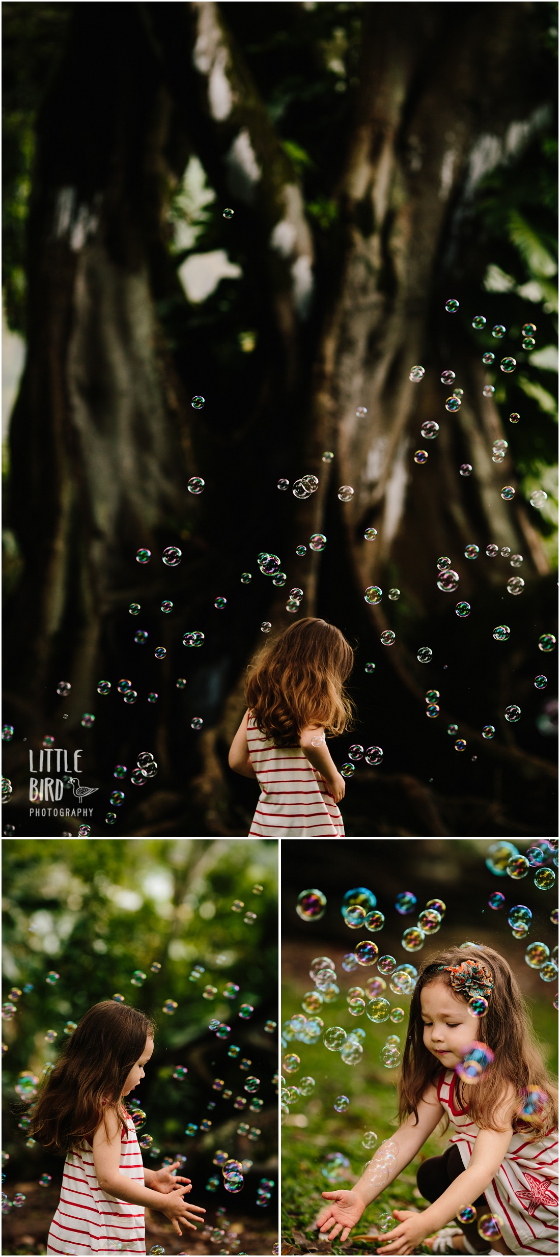 bubbles at the park in hawaii