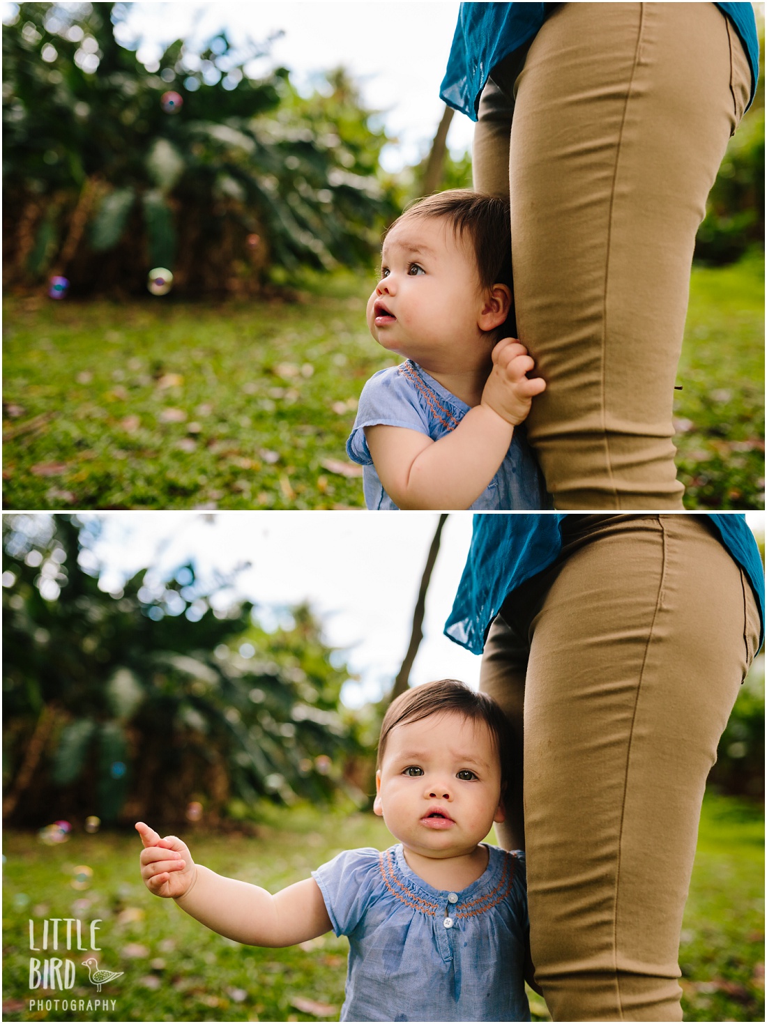 baby watching bubbles in oahu