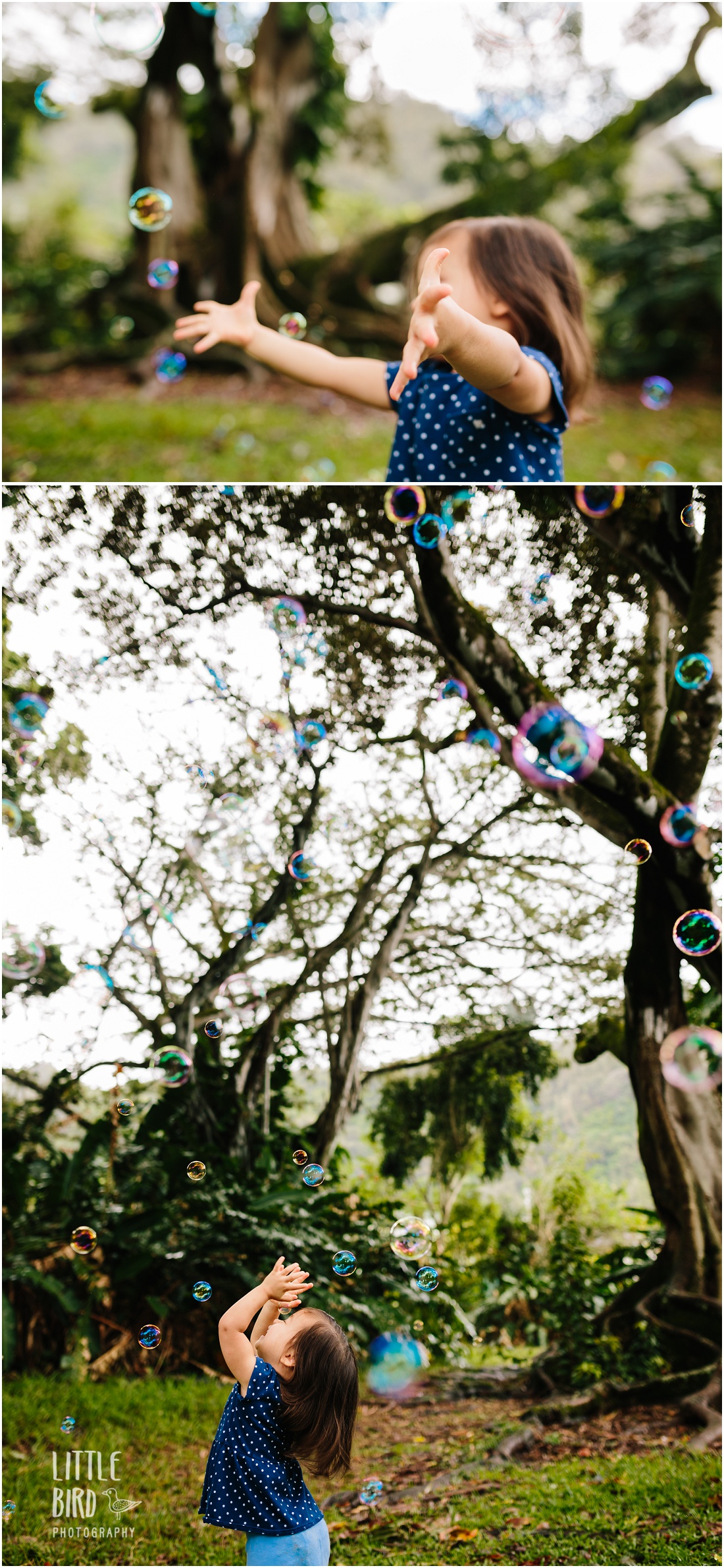 little girl chasing bubbles in hawaii