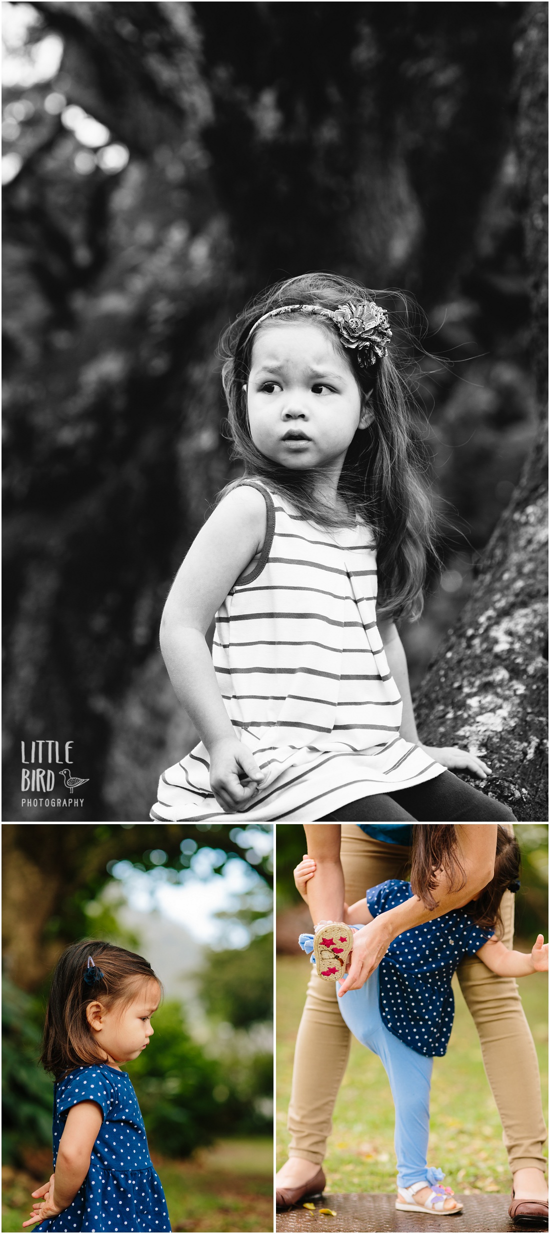 Little girl in a big tree in hawaii