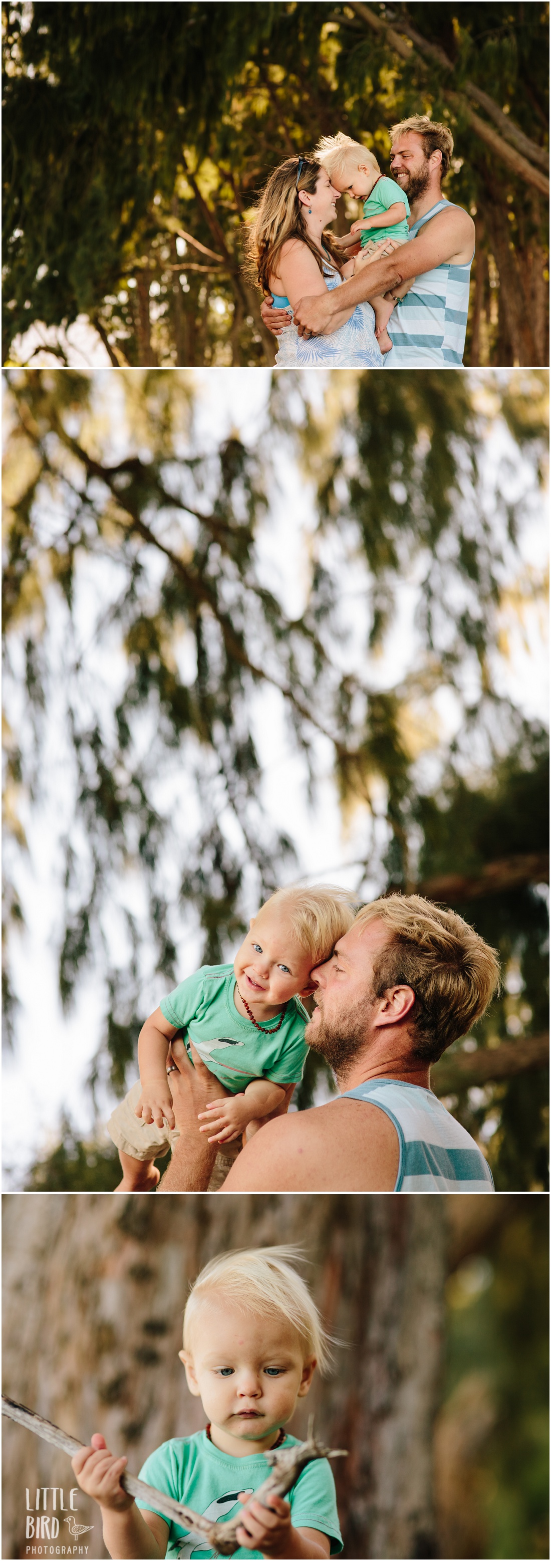 family portraits at the beach in hawaii