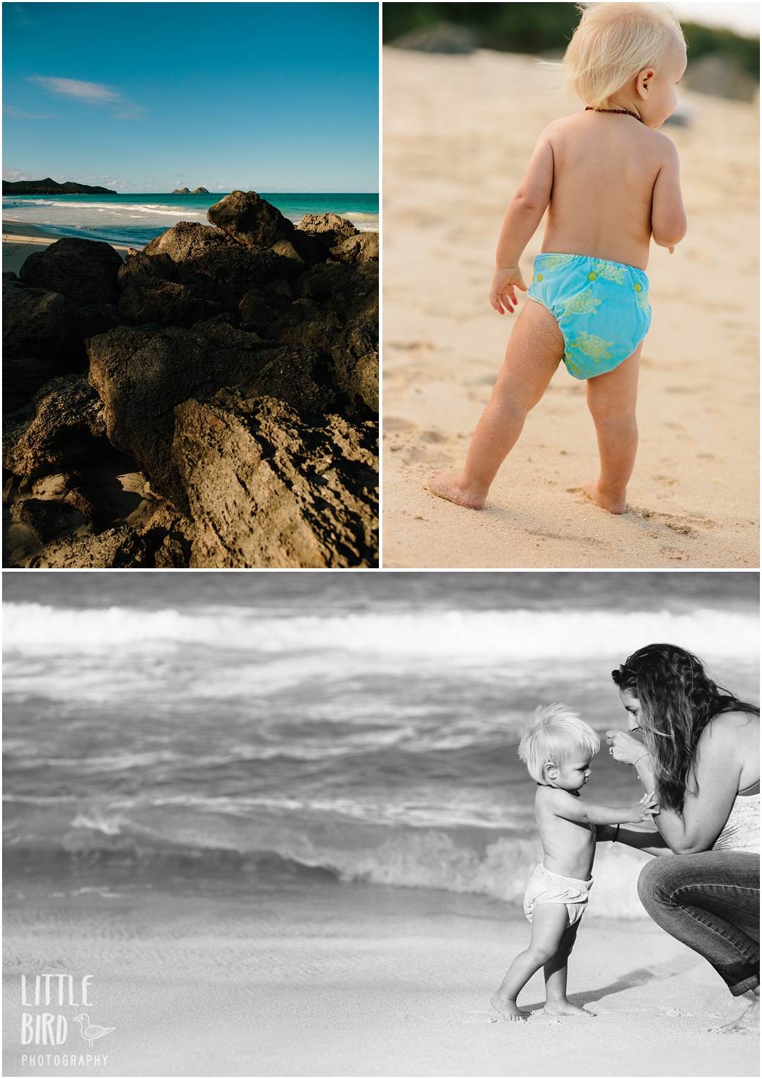 family portraits at waimanalo beach in oahu