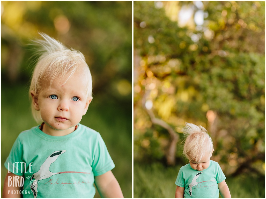 hawaii baby portraits