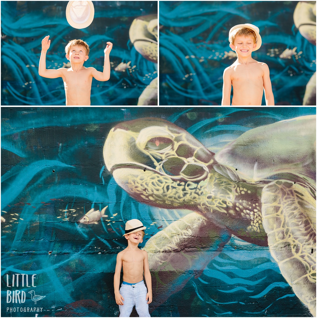 boy and sea turtle wall mural north shore oahu