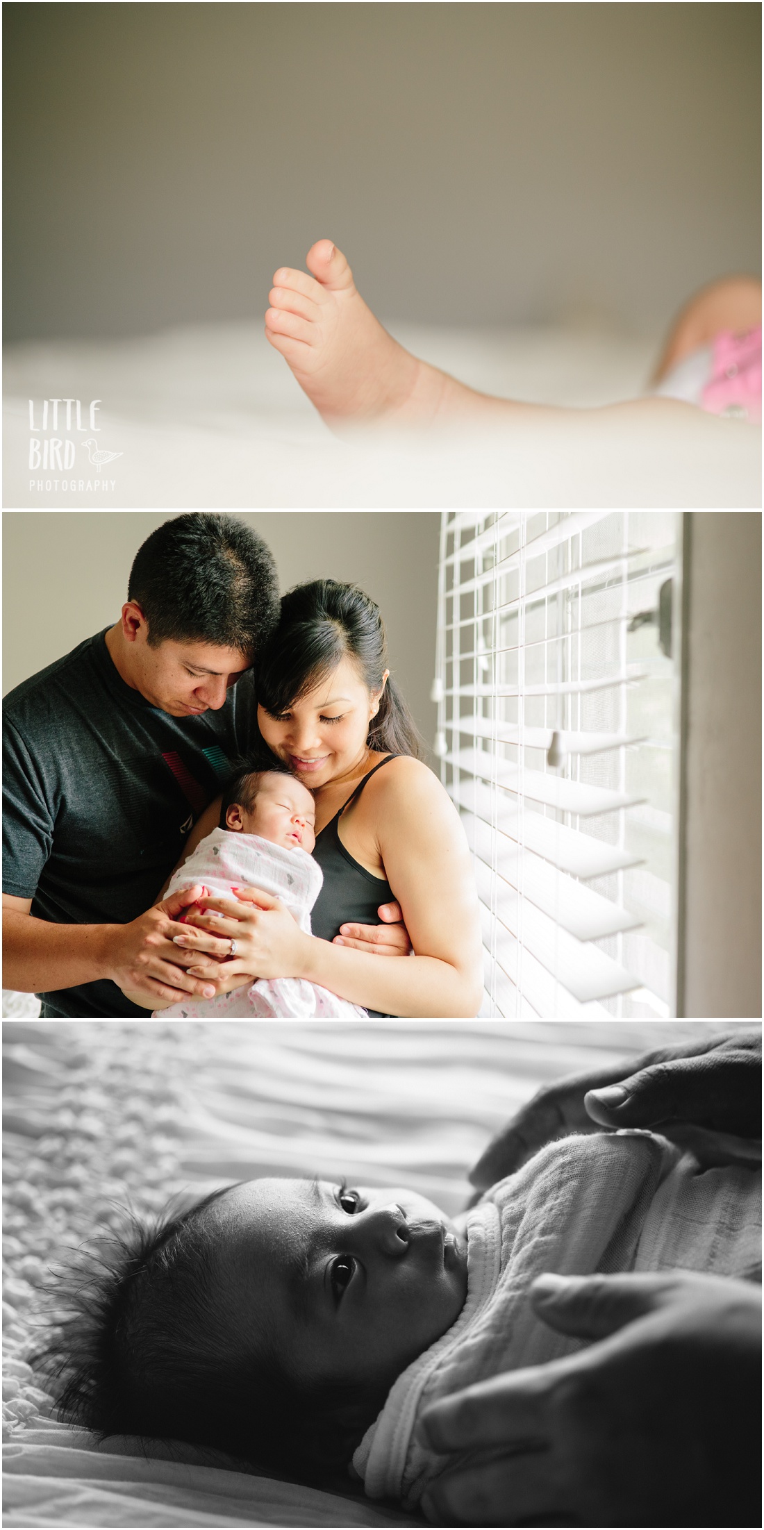 family photo session with a newborn at home