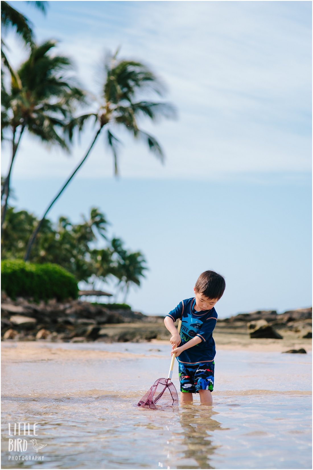 little boy fishing in oahu hawaii