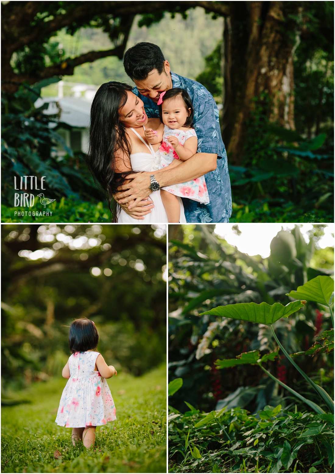 hawaii baby portraits in nuuanu valley