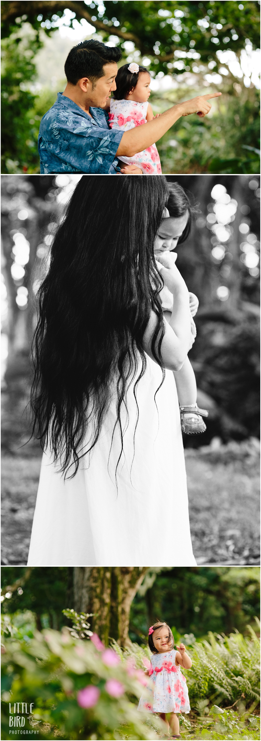 family photography at nuuanu valley park oahu