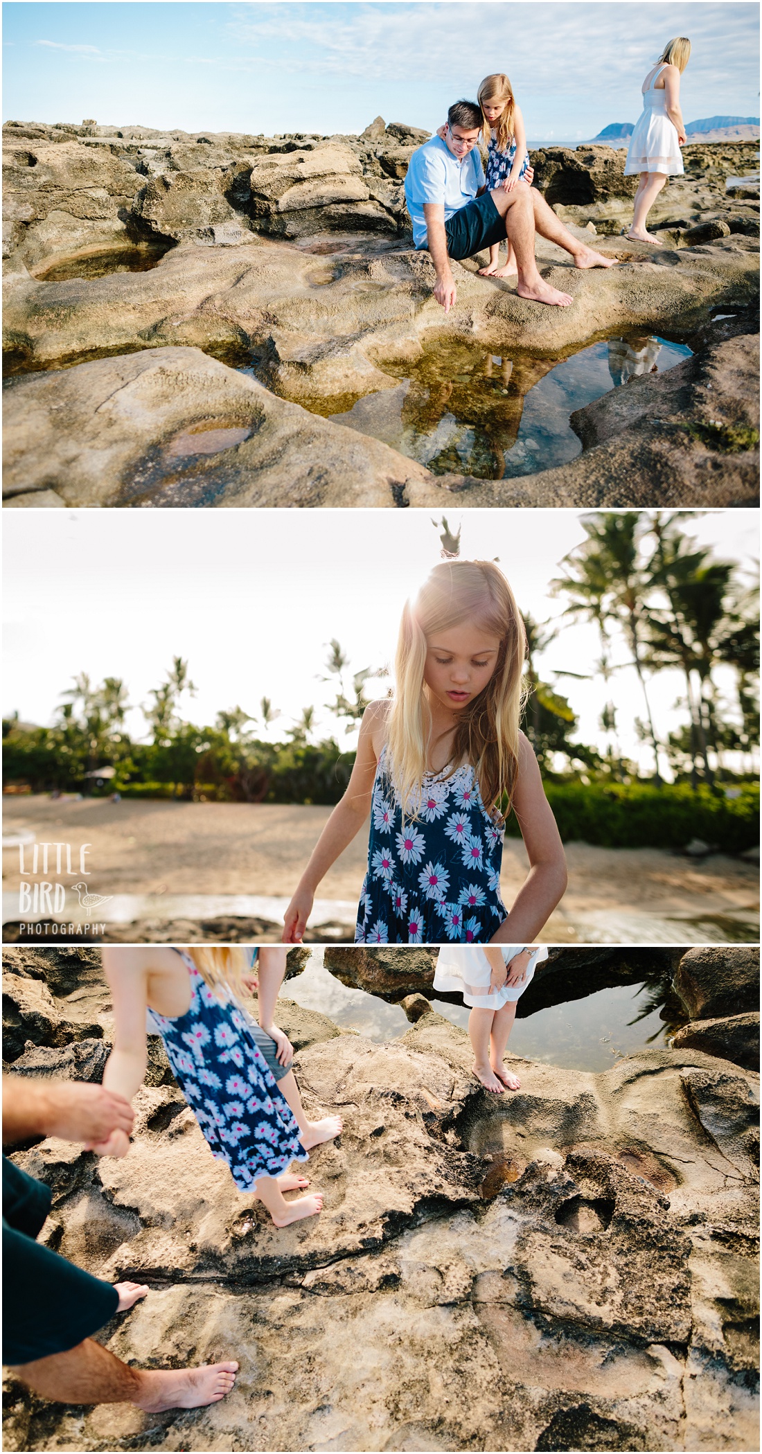 kids exploring tidepools in hawaii