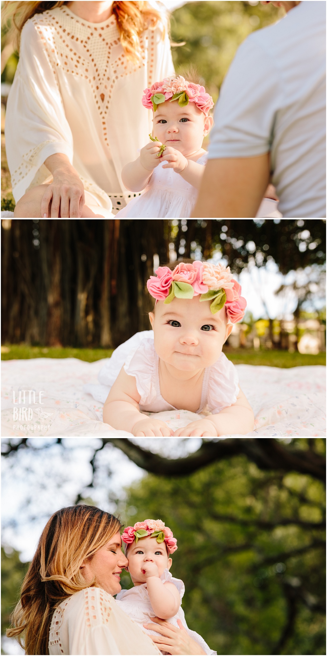 baby portraits in the park oahu hawaii