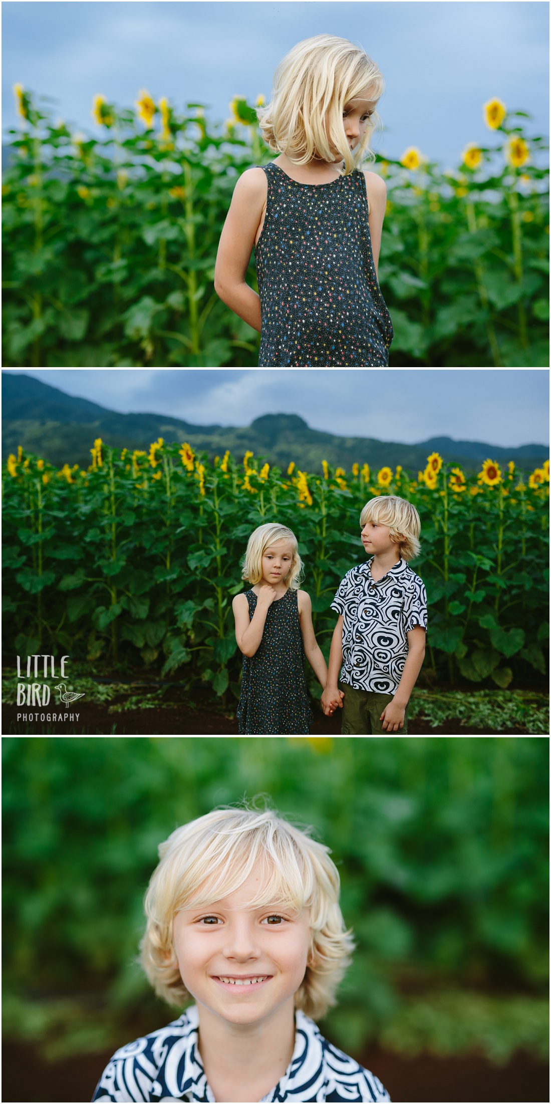 kids-playing-in-sunflower-fields-oahu-hawaii