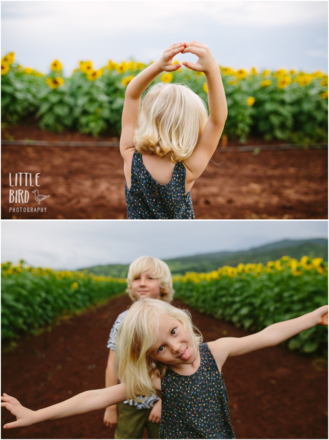 kids dancing in a sunflower field in hawaii