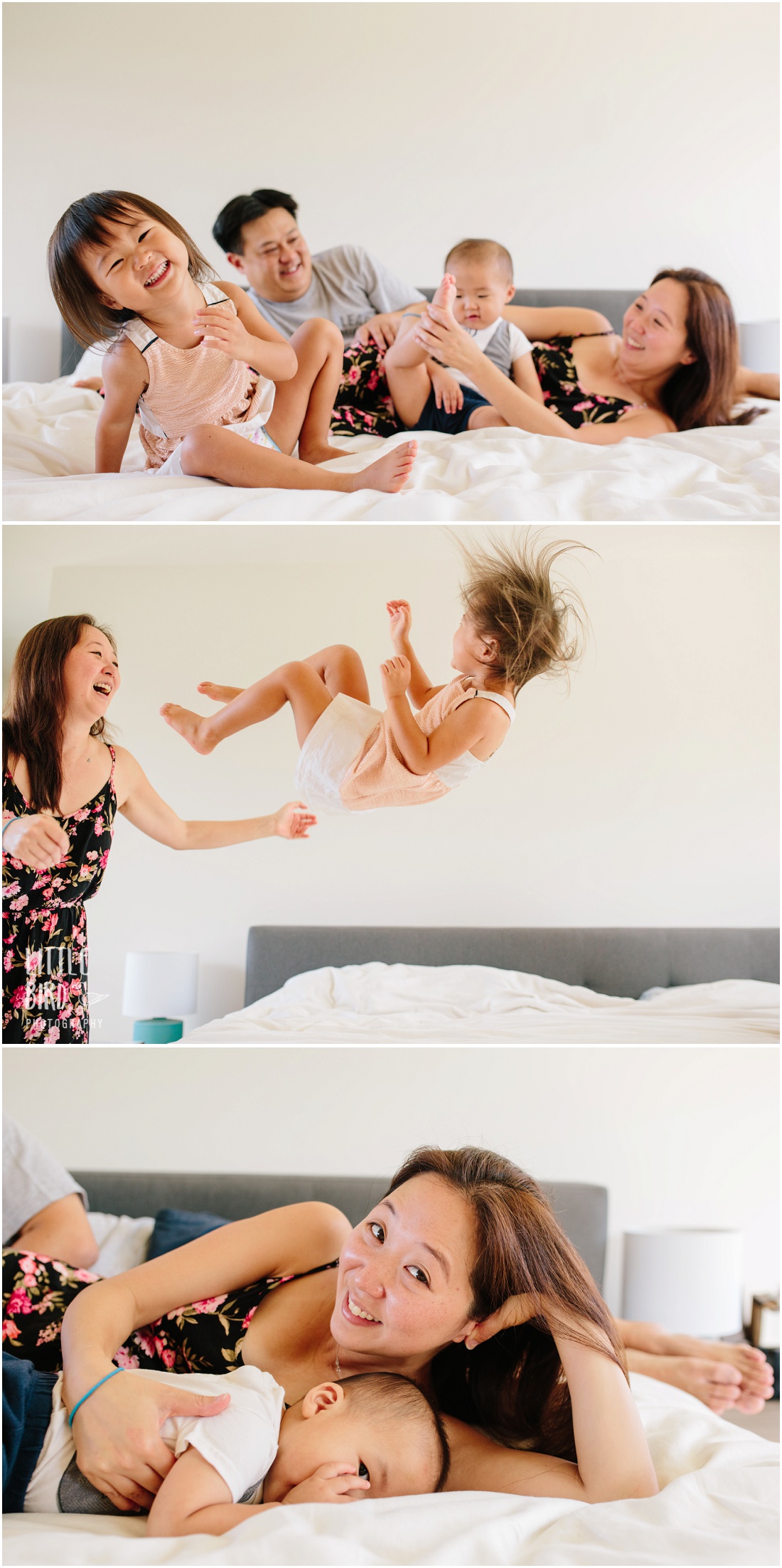 family portraits at home in hawaii