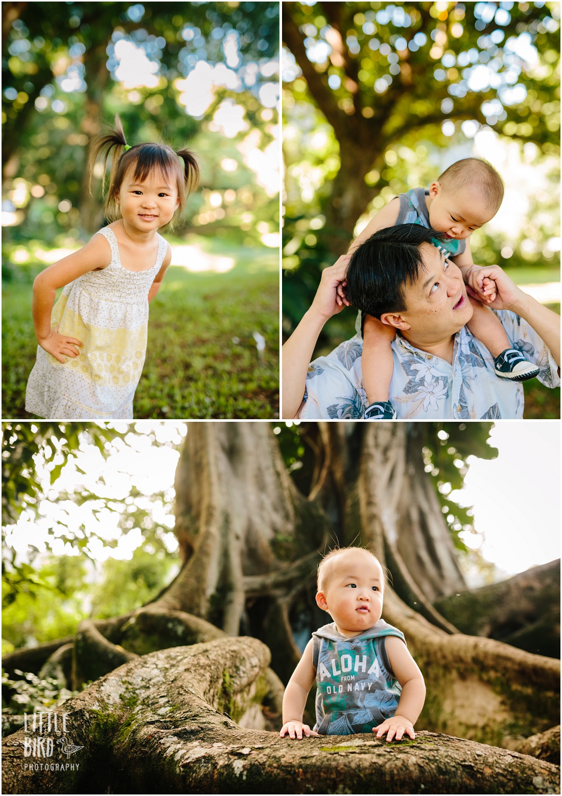 family photography at nuuanu park