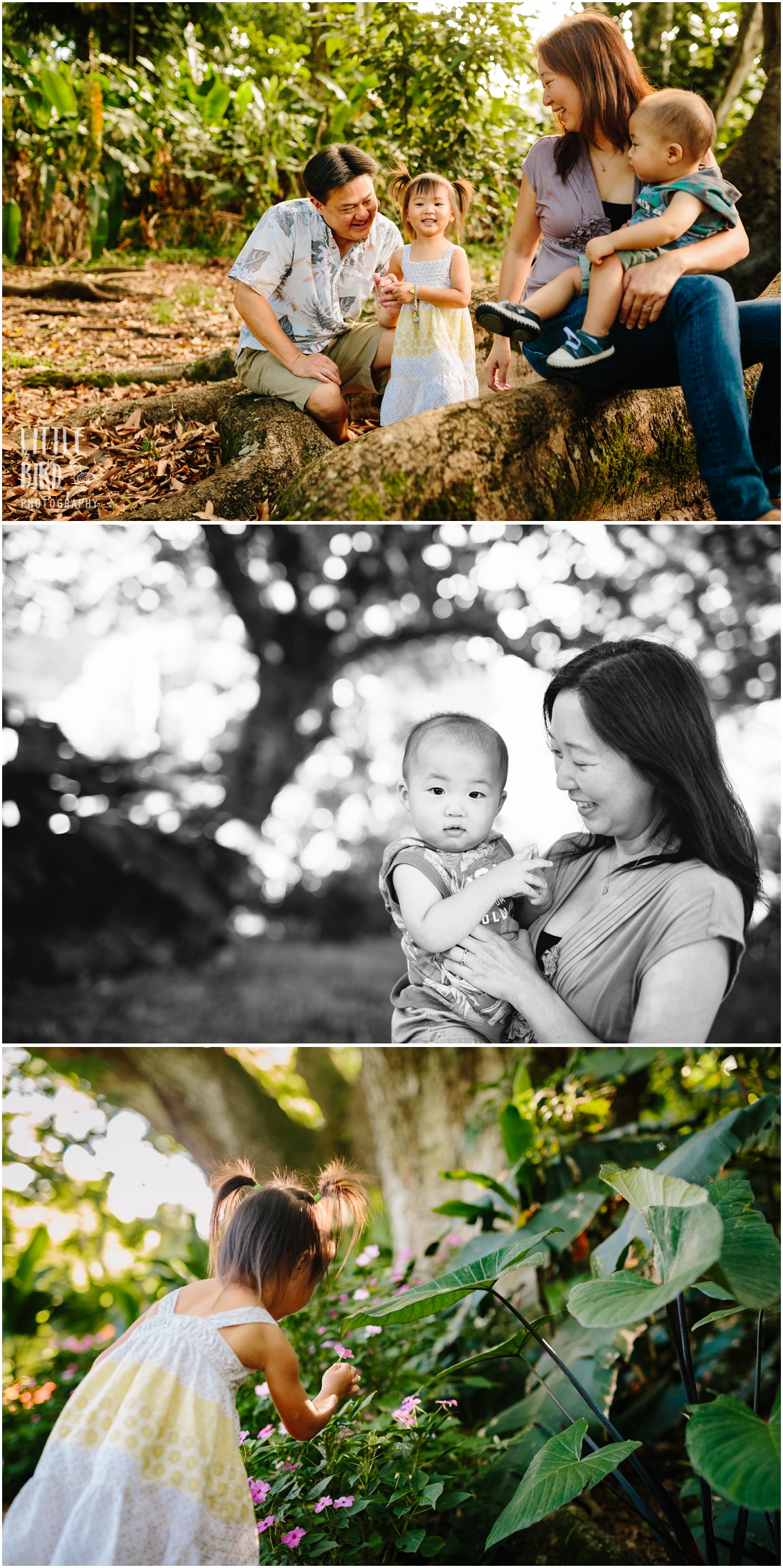 oahu family photography at nuuanu park